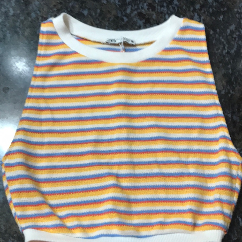 Zara Striped Crop Top-S